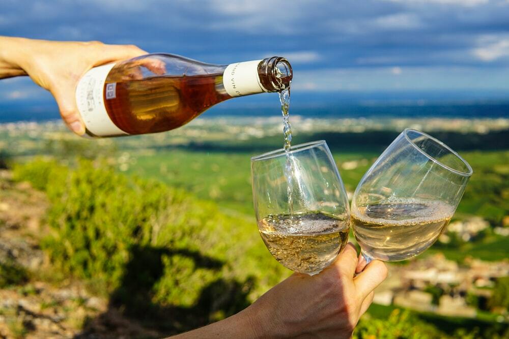 Cómo descubrir el mundo del vino – Guía para principiantes